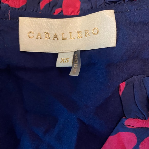 Caballero Pink Blue Shana Floral High Low Dress Eco Friendly Sustainable Size XS - Picture 9 of 9